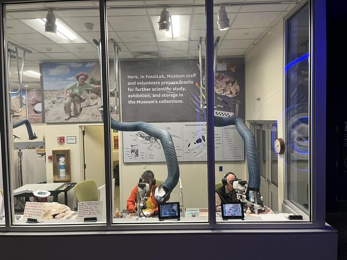 Volunteers working on Petrified Forest National Park fossils in the FossiLab at the the Smithsonian’s National Museum of Natural History