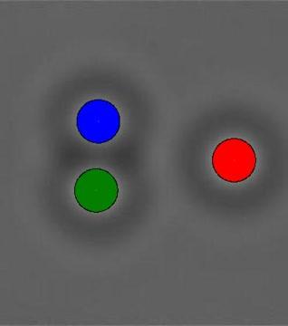 Video of Experiment