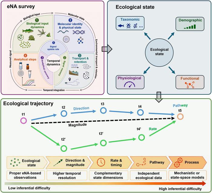 Graphical Abstract