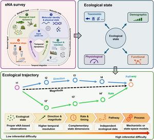 Graphical Abstract