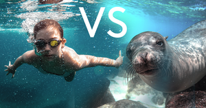 man vs seal