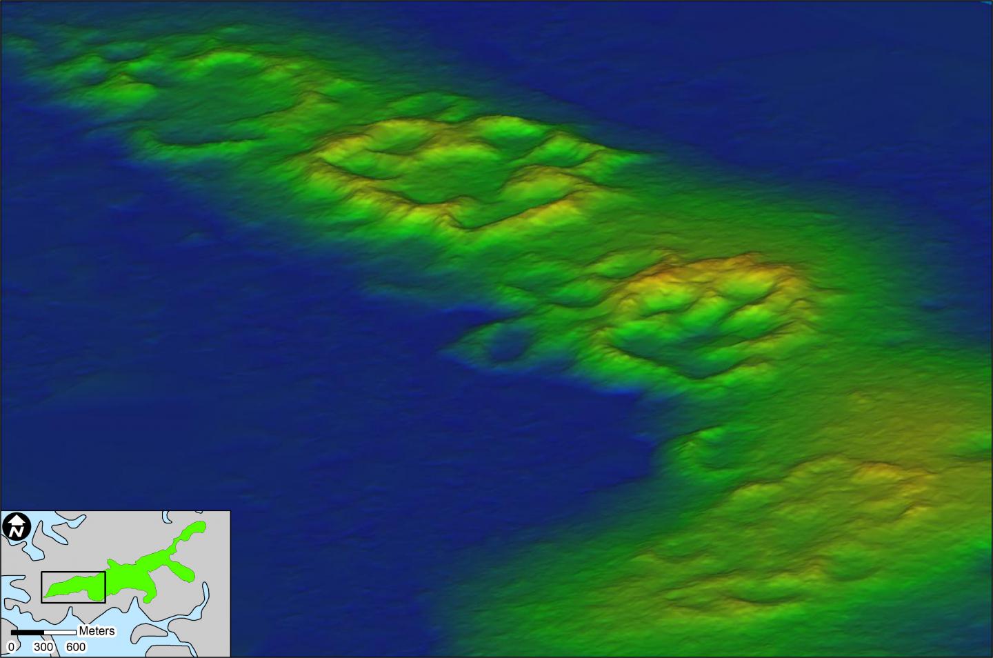 3D Rendering of Raleigh Islands Shell Rings