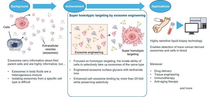 Overview of super homotypic targeting