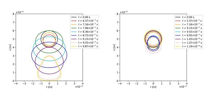 Bubble shape evolution for thin and thick shells under identical ultrasound, showing strong vs. suppressed deformation