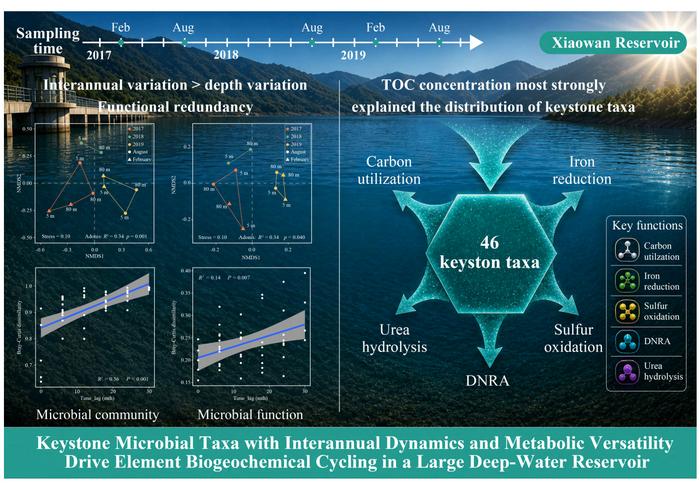 Keystone microbial taxa with interannual dynamics and metabolic versatility drive element biogeochemical cycling in a large deep-water reservoir