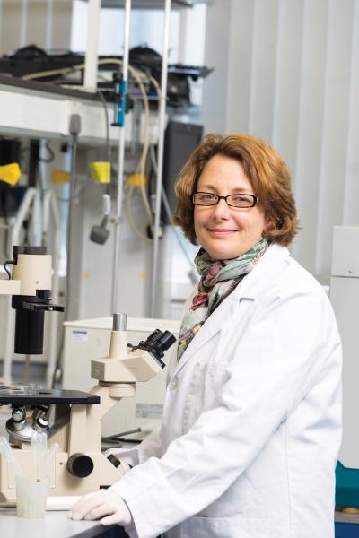 Helen Maddock, Coventry University