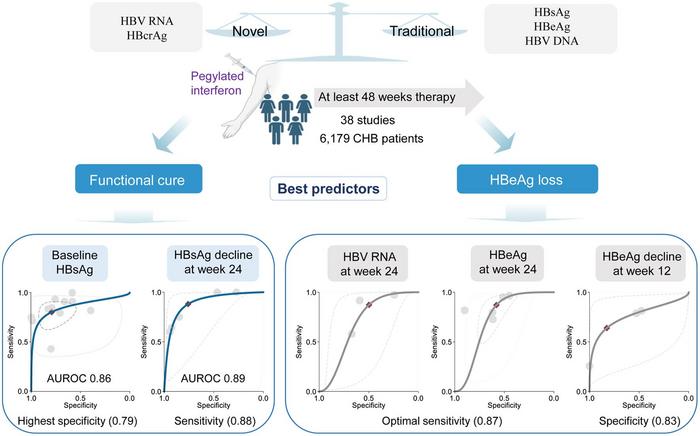 Traditional and Novel Virologic Markers for Functional Cure and HBeAg Loss with Pegylated Interferon in Chronic Hepatitis B