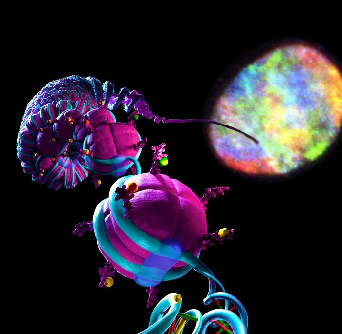 Fox Chase Cancer Center and Arima Genomics Partner to Advance 3D Genome Diagnostics for Cancer Care