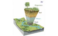 Earth's Critical Zone