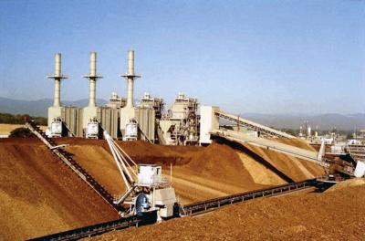 Bioenergy.
