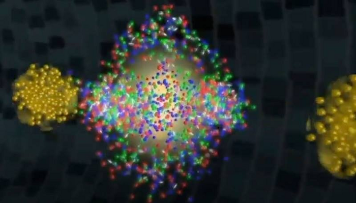 New Findings on the Flow of Particles in Heavy Ion Collisions
