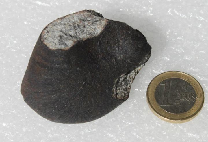A Section of the Annama Meteorite