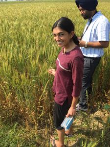Inaugural ASU–Science Prize Recognizes Research that Serves Farmers from the Ground Up