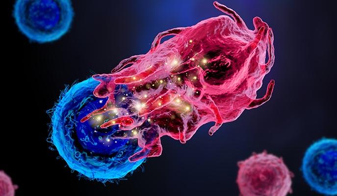 Intracellular Processes Illustration