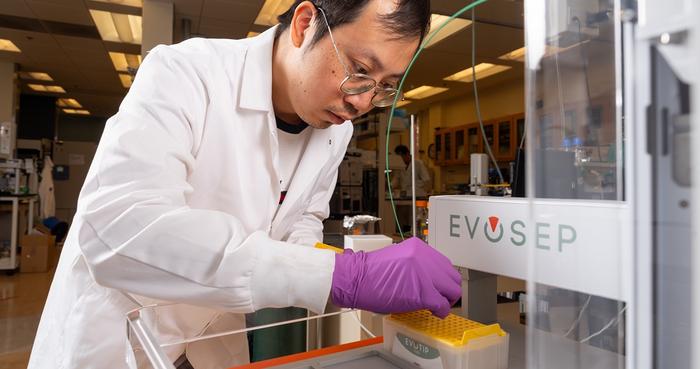 New method probes cancer cell messengers that weaken immune system