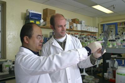 Dr. Hongwei Yu, Marshall University