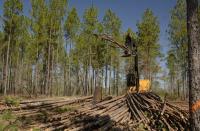 Trees Go High-Tech