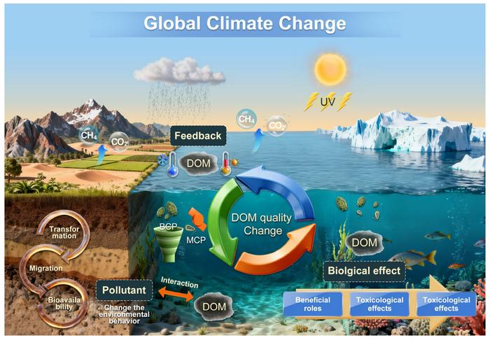 The double-edged environmental effect of dissolved organic matter in global climate change