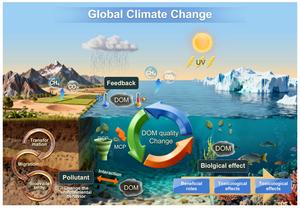 The double-edged environmental effect of dissolved organic matter in global climate change