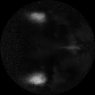 Activity in Mouse Visual Cortex in Response to a Stimulus