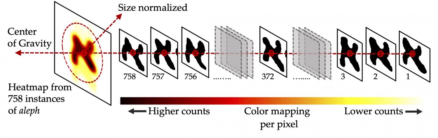 Averaging the aleph