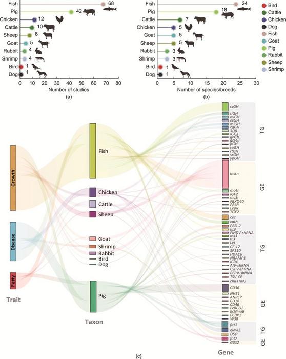 A Summary of the Current Applications of TG and GE for Trait Enhancement in Farmed Animals