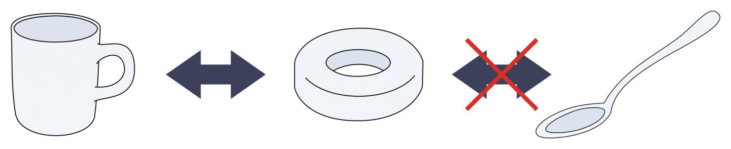 Topology Concept
