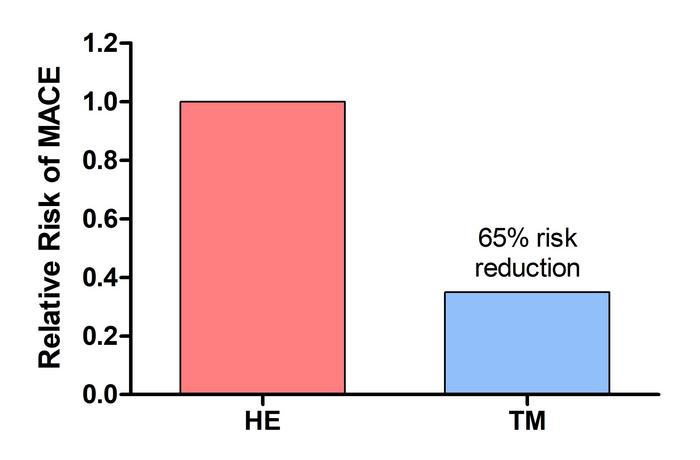 Reduction in Fatal and Nonfatal Cardiovascular Events with Transcendental Meditation and Health Education