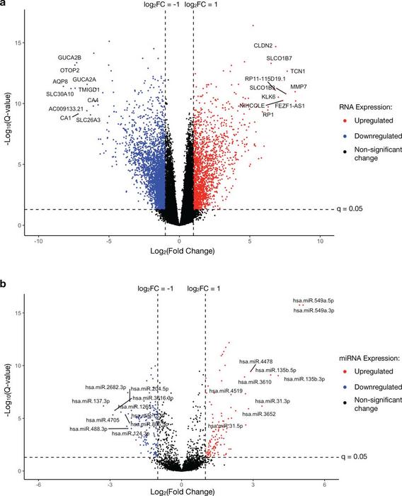 Volcano plots showing the differential expression of human host (a) RNAs and (b) miRNAs in colorectal polyps as compared with the controls (adjacent normal mucosa)