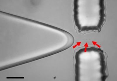 NIST 'On-demand' Single-Molecule Drop Dispenser
