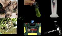 Nature-inspired new soft fabric robotic gripper