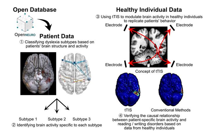 Researchers propose a new model to study developmental dyslexia