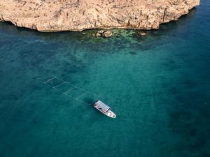 Floating Raft System for Oman’s Pilot Seaweed Farming Project