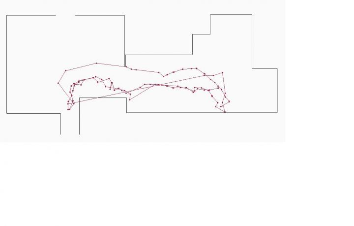 Walking Pattern of ALF Resident Experiencing Cognitive Decline vs. Control Subject