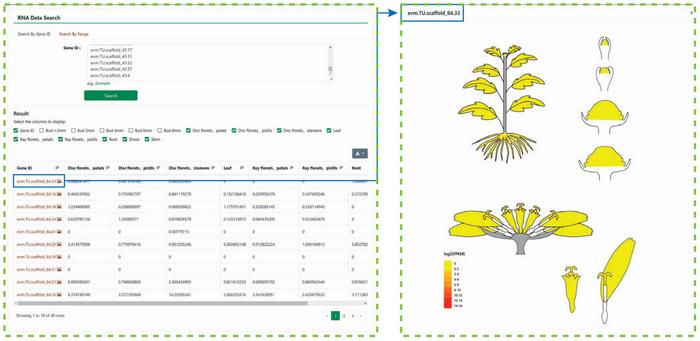 Expression module in the CGD.
