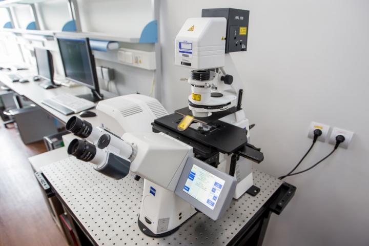 ZEISS LSM 800