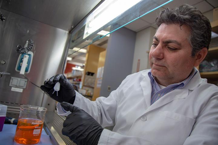 Klearchos Papas, PhD