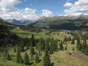 Colorado Meadow - Field Site