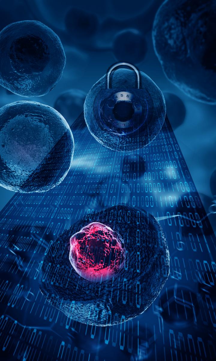 Bioencryption