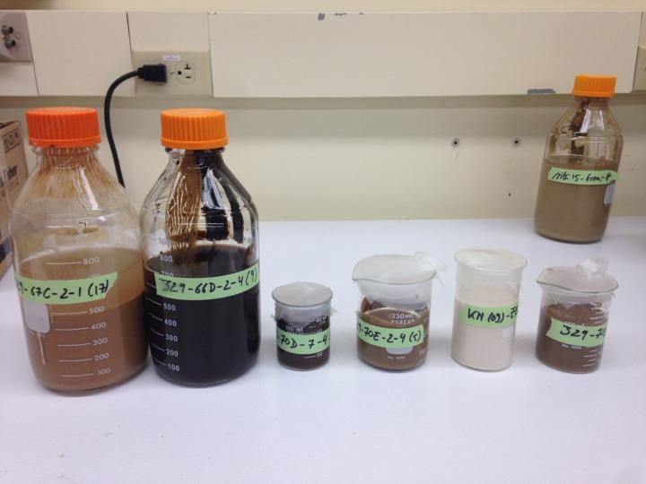 Sediment samples