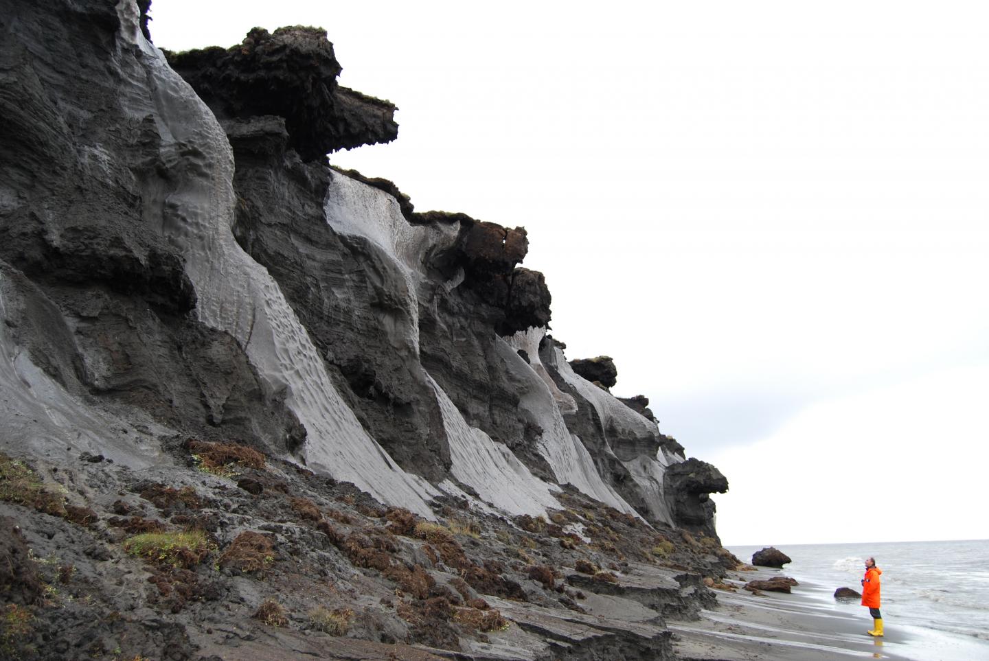 Exposed Ice Wedges