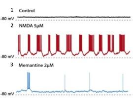 Extrasynaptic Excitations