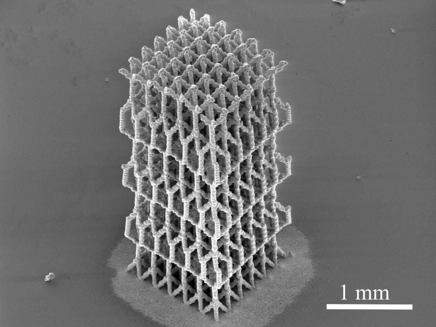Biolike Microstructure in a Hex Shape