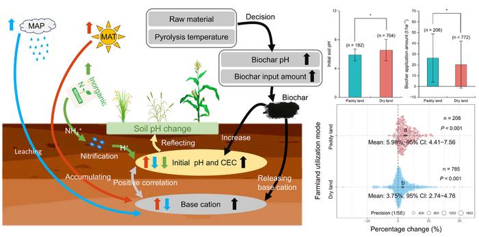 The potential of biochar to mitigate soil acidification: a global meta-analysis