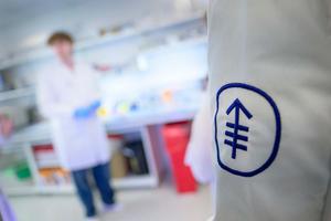 MSK Research