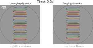Unraveling the mathematics behind wiggly worm knots