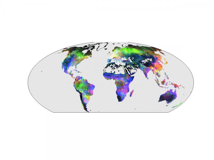 Climate-Driven CO2 Exchange