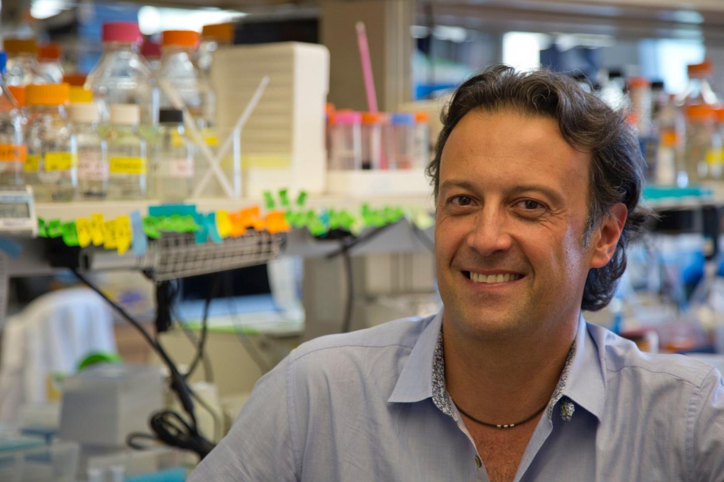 Alex Toker, Ludwig Center at Harvard