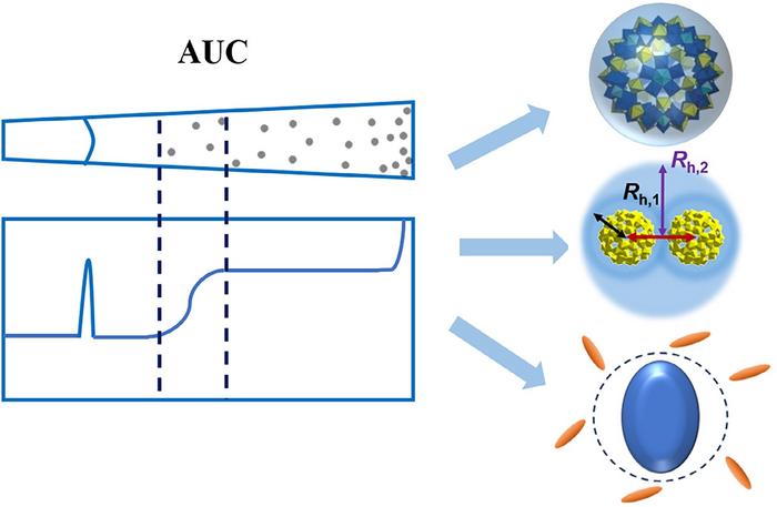 The many uses of analytical ultracentrifugation