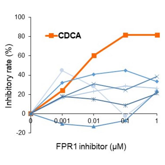 Figure 1: Validation of FPR1 inhibitor candidates using SJS/TEN model cell